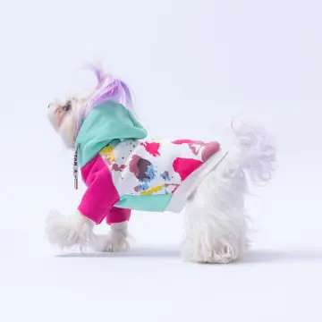 PawStar Mint Rio Hoodie Küçük ve Orta Irk
