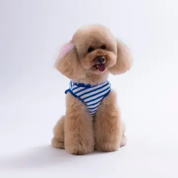 PawStar 26820 Sunflower EmbroLine Tişört