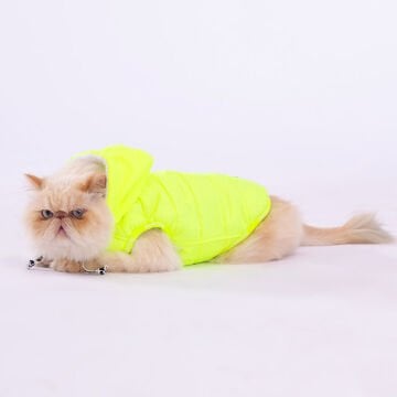 PawStar Neon Sarı Railway Küçük ve Orta Irk Yelek