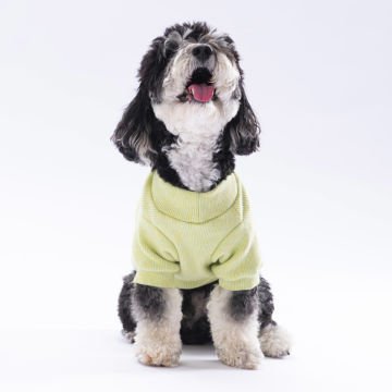 PawStar Sarı Merino Sweat Küçük ve Orta Irk