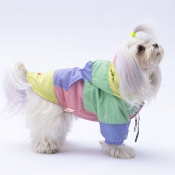 PawStar Pastel Kauai Yağmurluk Küçük ve Orta Irk