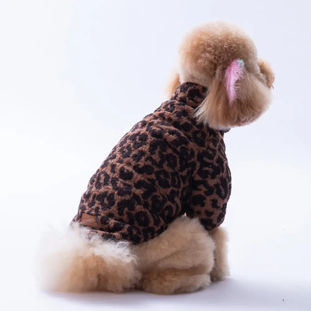 PawStar Sri Lanka Ceket Küçük ve Orta Irk Ceket