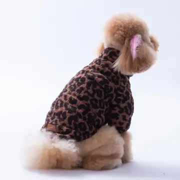 PawStar Sri Lanka Ceket Küçük ve Orta Irk Ceket