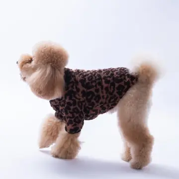 PawStar Sri Lanka Ceket Küçük ve Orta Irk Ceket