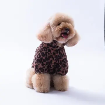 PawStar Sri Lanka Ceket Küçük ve Orta Irk Ceket