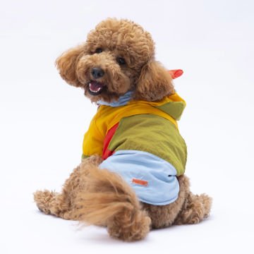 PawStar Vivid Kauai Yağmurluk Küçük ve Orta Irk