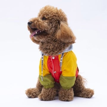 PawStar Vivid Kauai Yağmurluk Küçük ve Orta Irk