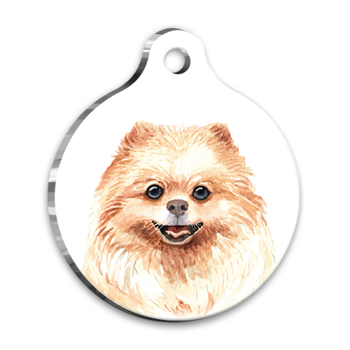 Suluboya Pomeranian Yuvarlak Köpek Künyesi Small 2,5 cm