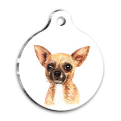 Suluboya Chihuahua Yuvarlak Köpek Künyesi Small 2,5 cm