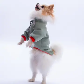 PawStar Yeşil Seattle Storm Sweat