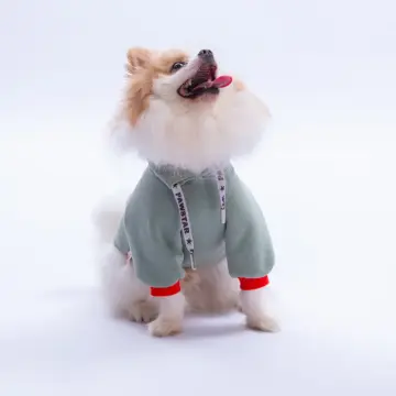 PawStar Yeşil Seattle Storm Sweat