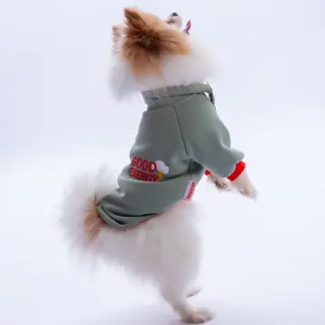 PawStar Yeşil Seattle Storm Sweat