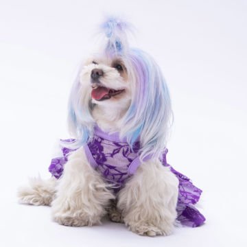 PawStar Mor Rosa Elbise