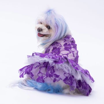 PawStar Mor Rosa Elbise