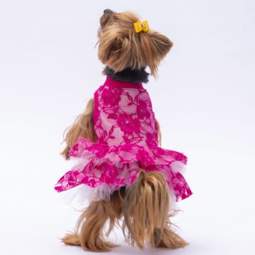 PawStar Pembe Rosa Elbise