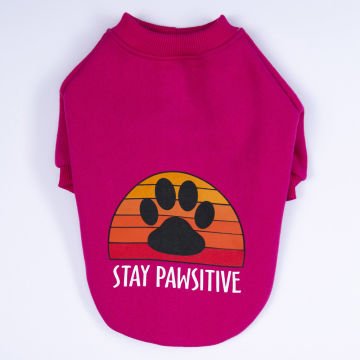 PawStar Pembe Carmel Sweat Küçük ve Orta Irk