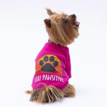 PawStar Pembe Carmel Sweat Küçük ve Orta Irk
