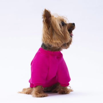 PawStar Pembe Carmel Sweat Küçük ve Orta Irk