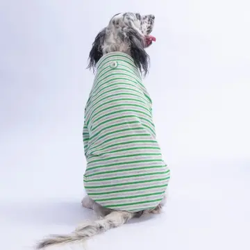 PawStar 26767 Yeşil Marseille Softline Büyük Irk Sweat
