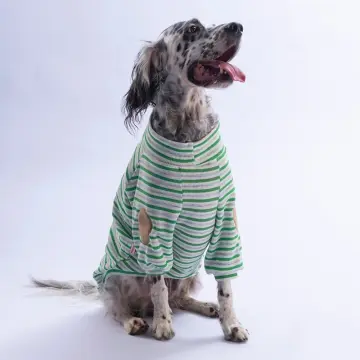 PawStar 26767 Yeşil Marseille Softline Büyük Irk Sweat