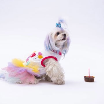 PawStar Happy Birthday Elbise