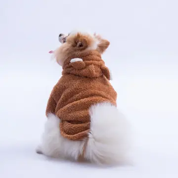 PawStar Kahverengi Lucca Teddy Hoodie Küçük ve Orta Irk