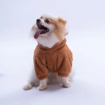 PawStar Kahverengi Lucca Teddy Hoodie Küçük ve Orta Irk