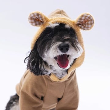 PawStar Grizzly Kapşonlu Sweat Küçük ve Orta Irk