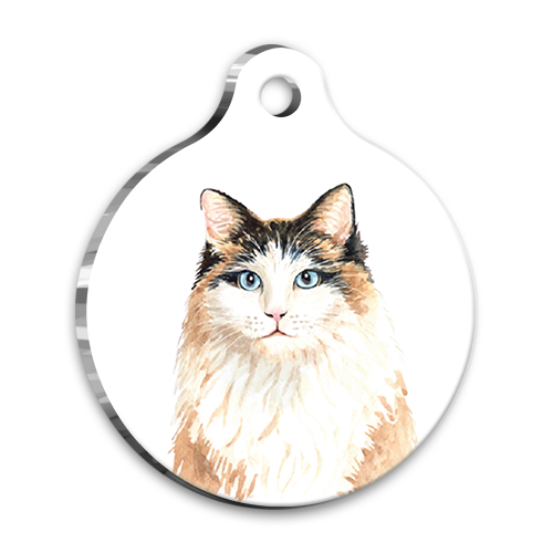 Suluboya 2 Yuvarlak Kedi Künyesi Large 3,8 cm