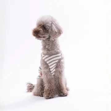 PawStar 26813 Cactus EmbroLine Tişört