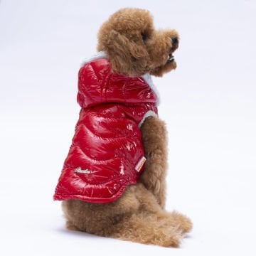 PawStar Kırmızı Light Wave Yelek Küçük ve Orta Irk