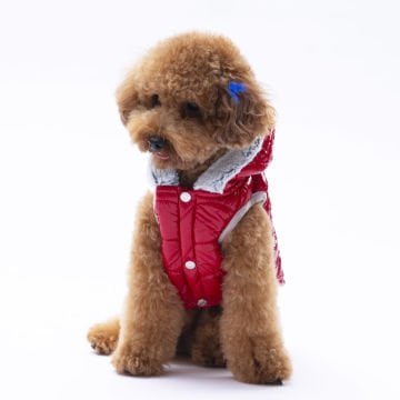 PawStar Kırmızı Light Wave Yelek Küçük ve Orta Irk