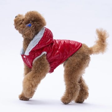 PawStar Kırmızı Light Wave Yelek Küçük ve Orta Irk