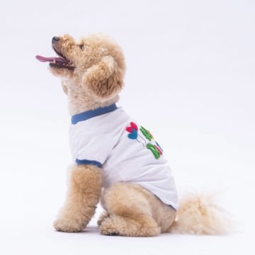 PawStar Happy Birthday Sweat