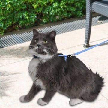 Mavi Beyaz Desenli Ayarlanabilir Kedi Göğüs Tasma Seti 10 mm 110 cm