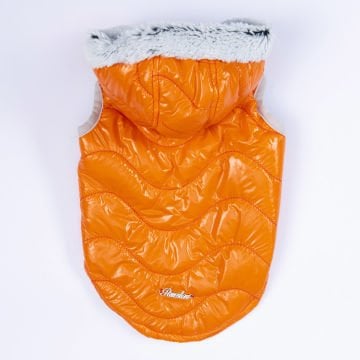 PawStar Turuncu Light Wave Yelek Küçük ve Orta Irk