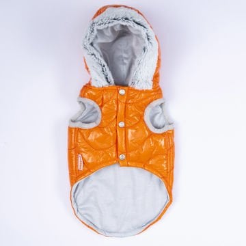 PawStar Turuncu Light Wave Yelek Küçük ve Orta Irk