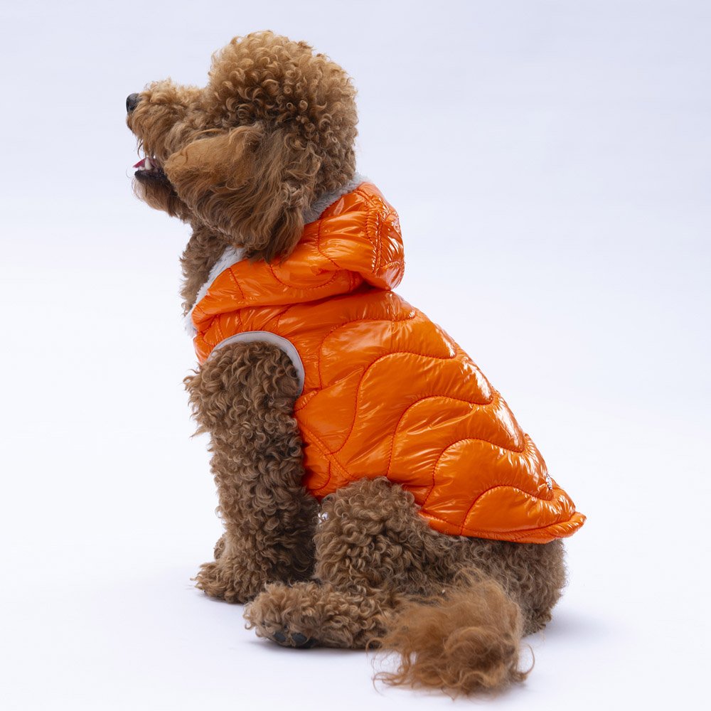 PawStar Turuncu Light Wave Yelek Küçük ve Orta Irk