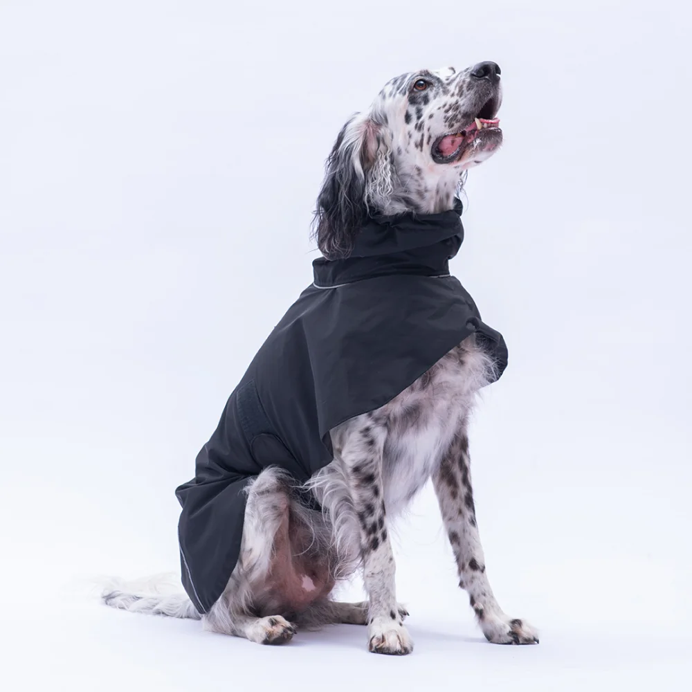 PawStar 25520 Siyah Colombia Prime Yağmurluk Orta-Büyük Irklar