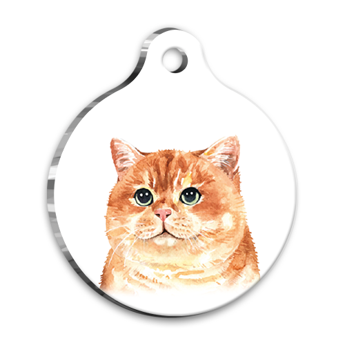 Suluboya 3 Yuvarlak Kedi Künyesi Medium 3 cm