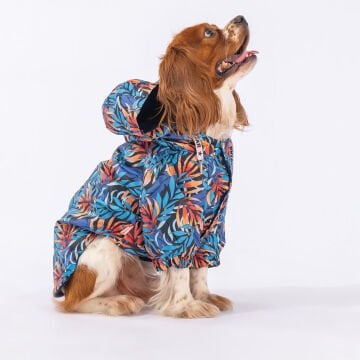 PawStar Autumna Yağmurluk Küçük ve Orta Irk