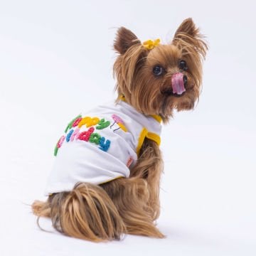 PawStar Happy Birthday Tişört