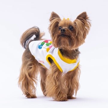 PawStar Happy Birthday Tişört