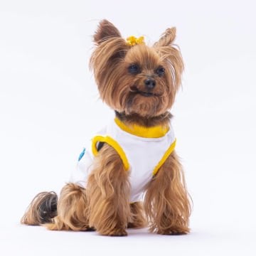 PawStar Happy Birthday Tişört