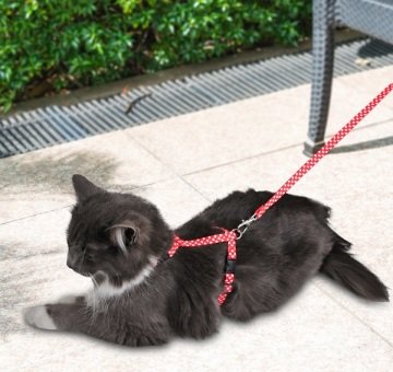 Kırmızı Beyaz Kalp Desenli Ayarlanabilir Kedi Göğüs Tasma Seti 10 mm 110 cm