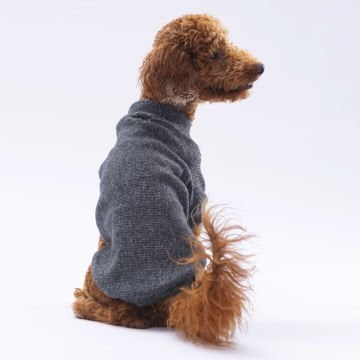 PawStar Siyah Merino Sweat Küçük ve Orta Irk