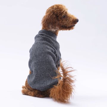 PawStar Siyah Merino Sweat Küçük ve Orta Irk