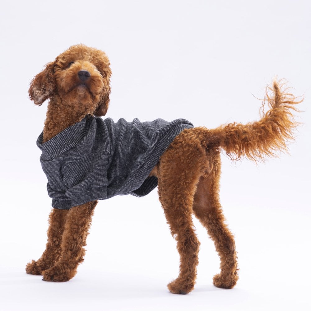 PawStar Siyah Merino Sweat Küçük ve Orta Irk