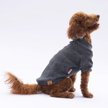 PawStar Siyah Merino Sweat Küçük ve Orta Irk