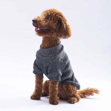 PawStar Siyah Merino Sweat Küçük ve Orta Irk